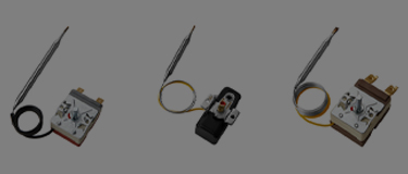 Liquid rise type temperature controller