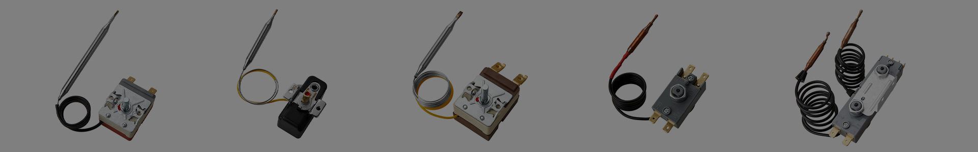 Liquid rise type temperature controller